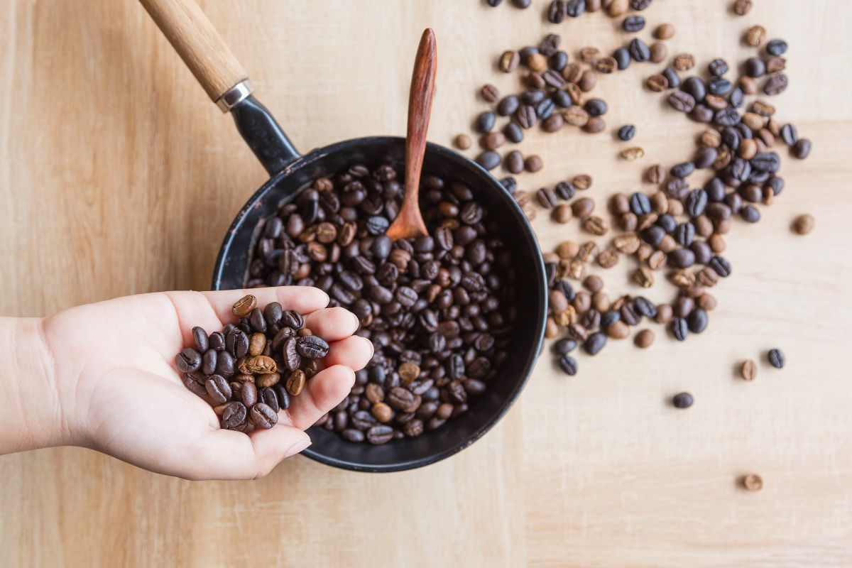 Hand holding roasted coffee beans