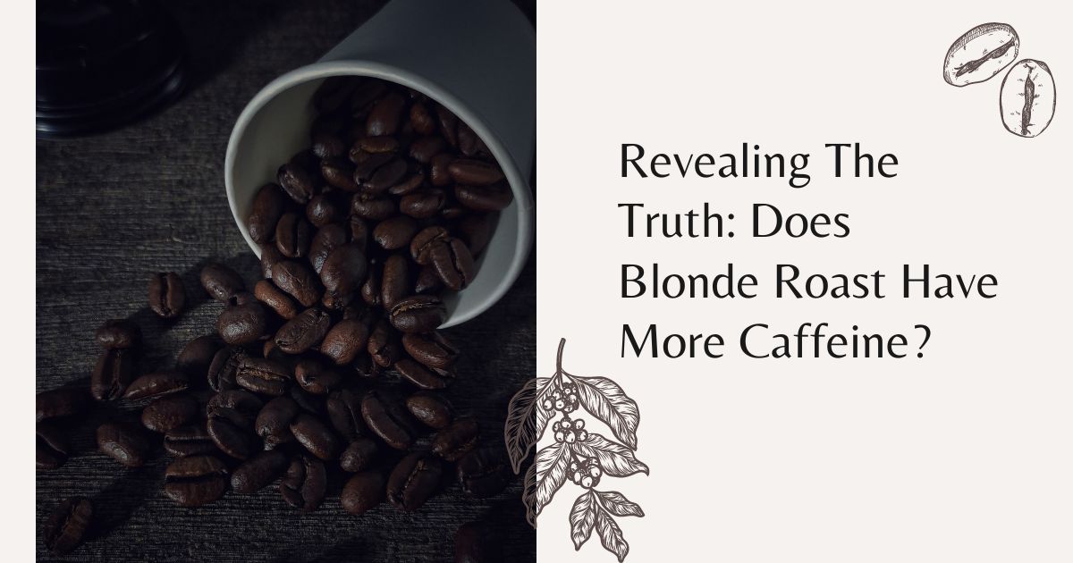 does blonde roast have more caffeine