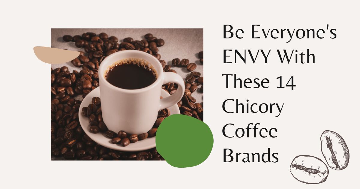 chicory coffee brands