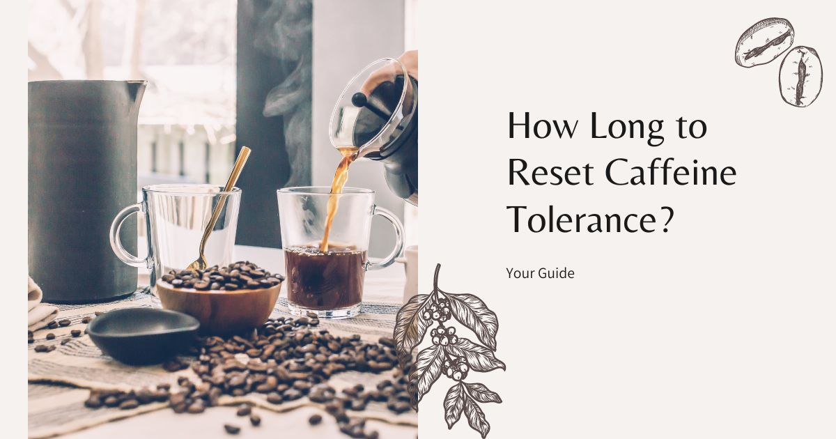 how long to reset caffeine tolerance