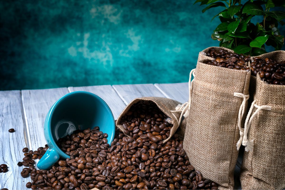 Ground coffee with coffee plants